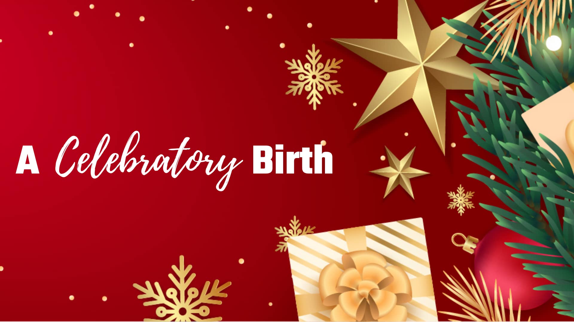 Read more about the article A Celebratory Birth